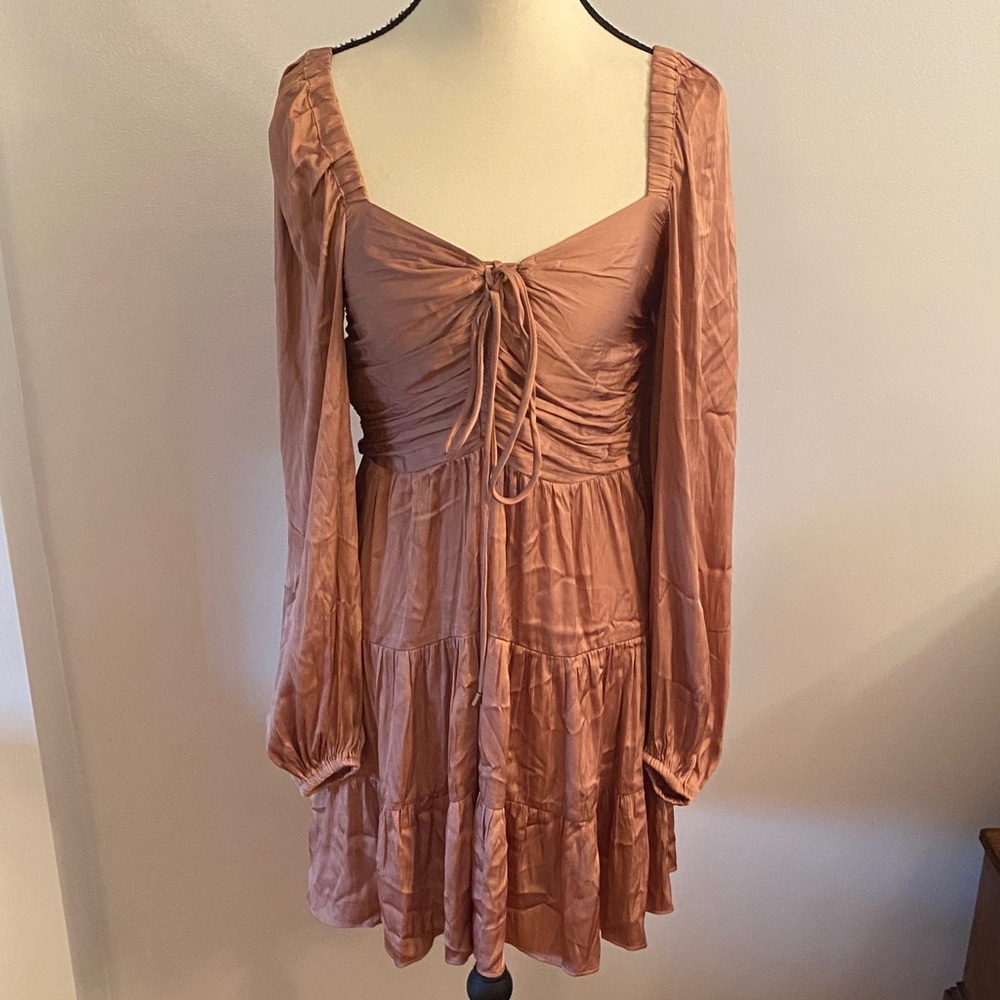 Mink pink NWT Spencer rose XS mini dress